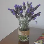 O Meu Canto * Σίντρα