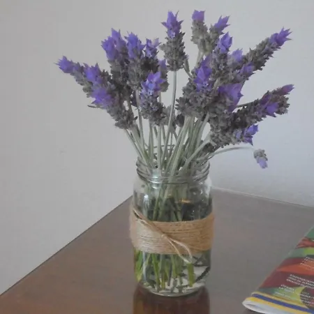 O Meu Canto * 辛特拉